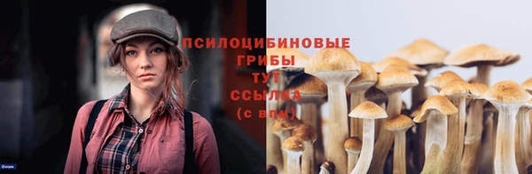 дживик Алзамай