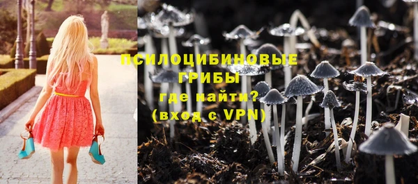 круглые Алексеевка
