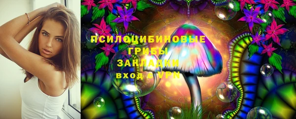 круглые Алексеевка