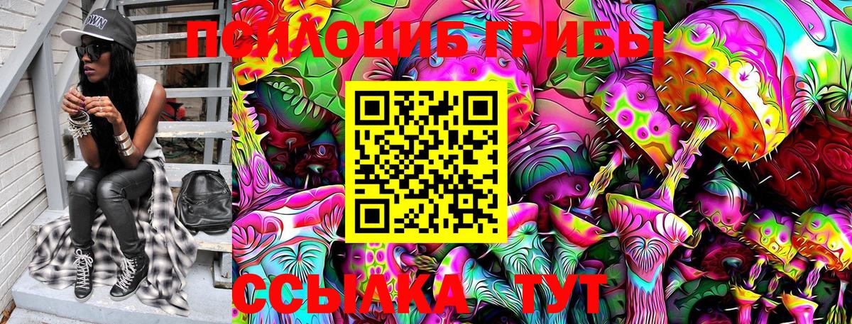 Алексеевка  Галлюциногенные грибы MAGIC MUSHROOMS  Вход с VPN 