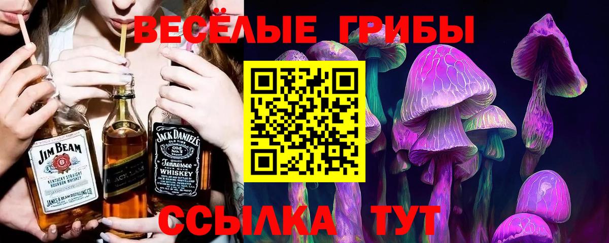Галлюциногенные грибы мицелий Алексеевка
